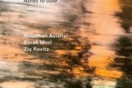 Avishai Cohen: Ashes to Gold