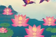 Edrix Puzzle: Lotus Bloosom