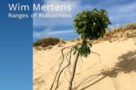 Wim Mertens: Ranges of robustness