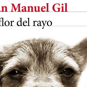 Juan Manuel Gil: La flor del rayo