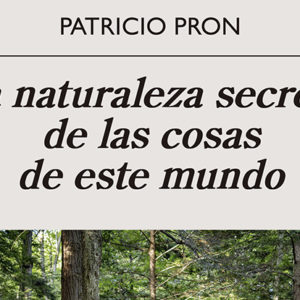 Patricio Pron: La naturaleza secreta de las cosas de este mundo